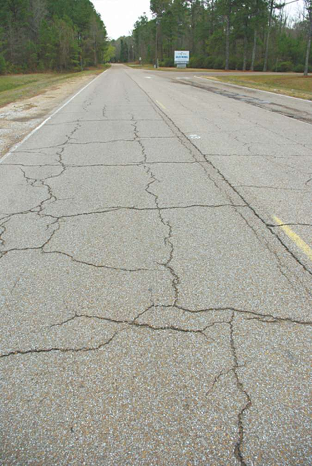 Lowndes to repave road to chemical plant - The Dispatch