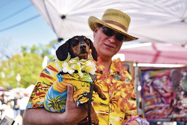 Photos: Cotton District Arts Festival - The Dispatch Photos: Cotton District Arts Festival - The Dispatch