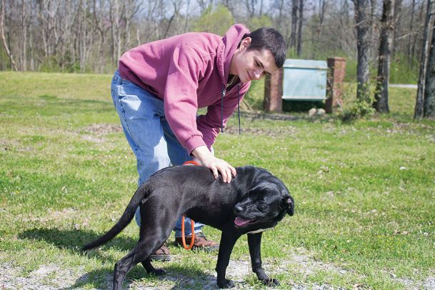 how much does it cost to spay a dog at petsmart