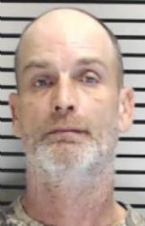 timothy phelps arrest